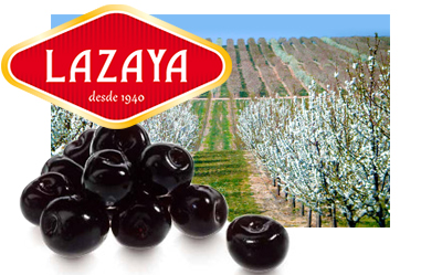 Lazayaラサヤフルーツ